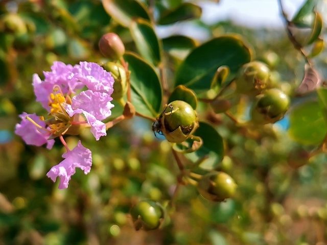 ��θ����������