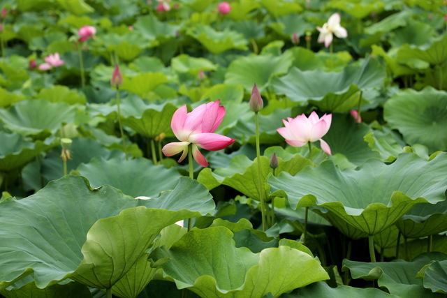 θ��r���r���o�ĸ��X