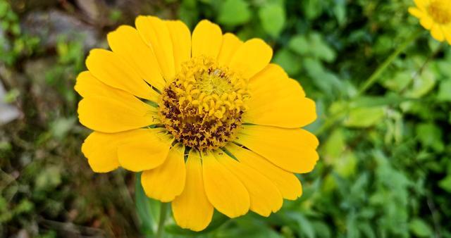 θ����3��û����˳�ʲô