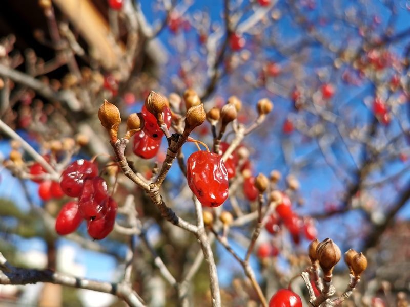 <a href=https://www.shuisutang.com.cn/ target=_blank class=infotextkey>ˮ����</a>