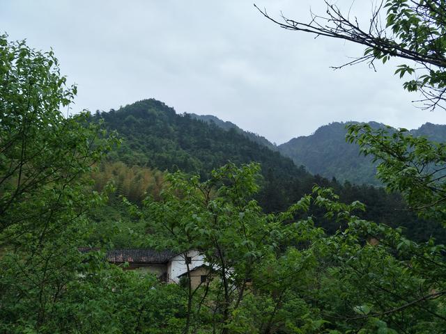 <a href=https://www.shuisutang.com.cn/ target=_blank class=infotextkey>ˮ����</a>