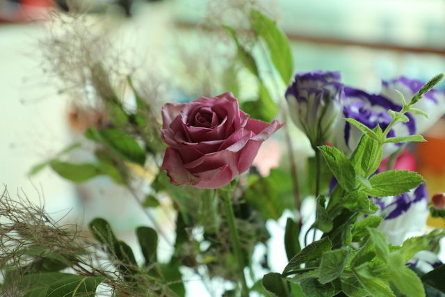 <a href=https://www.shuisutang.com.cn/ target=_blank class=infotextkey>ˮ����</a>