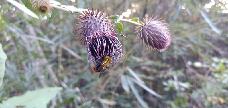 ����������ô���